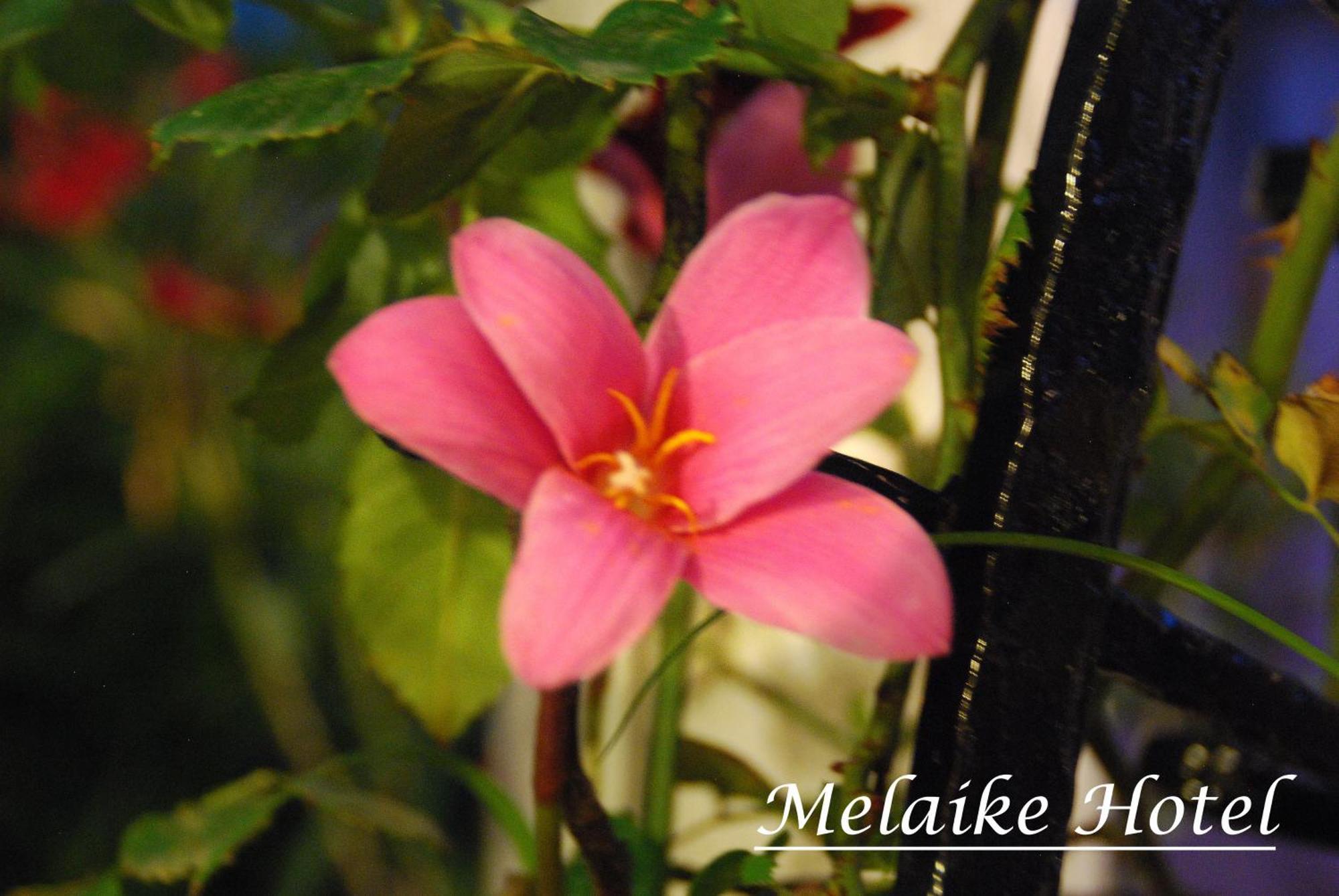 Melaike Hotel Фоча Екстер'єр фото